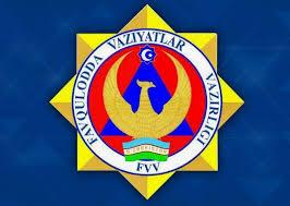 Ministry of Emergency Situations